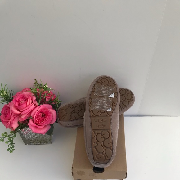 UGG Dakota Spill Seam - Picture 7 of 8